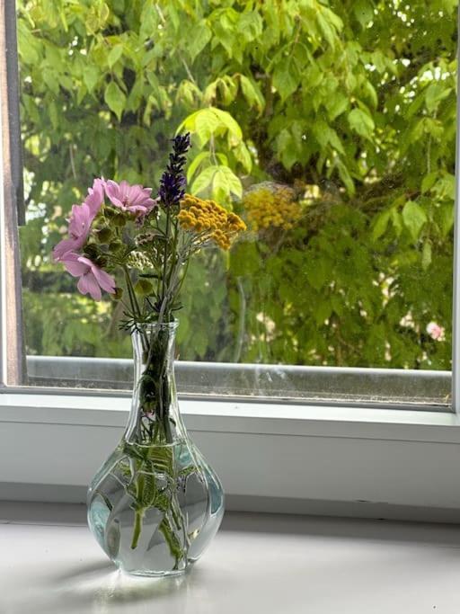 Pontmain Aupres De Mon Arbre 아파트 외부 사진